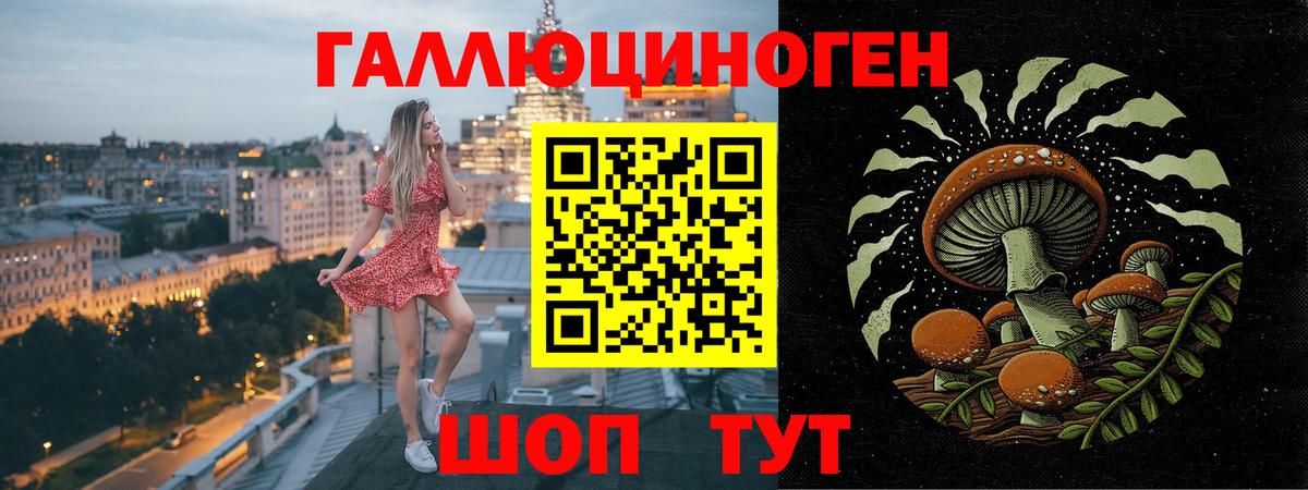 магазин  наркотиков  Вход с VPN  Каменск-Уральский  Псилоцибиновые грибы мицелий 